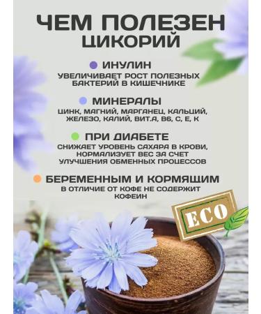 EcoLogic Chicory sublimated package 75 grams - Buy Online on GoSupps.com