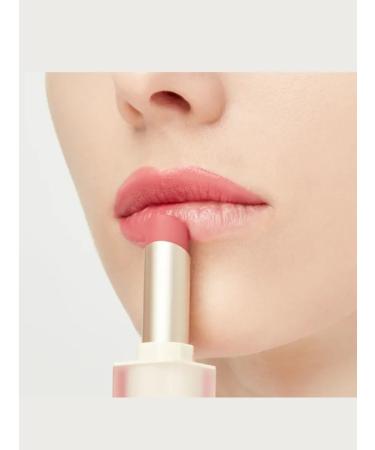 Clio Gipon lipstick #11 (Plum Macaron) - Buy Online on GoSupps.com