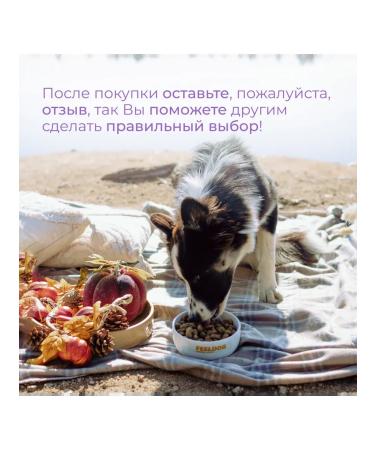 DOG FEED Dry food for puppies of all rocks 12kg - Buy Online on GoSupps.com