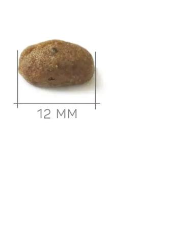 Dry food for sterilized cats Peppo turkey 10 kg - Buy Online on GoSupps.com