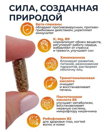 AltHerbs Set of antiparasitic complex with burdock root in capsules - Buy Online on GoSupps.com