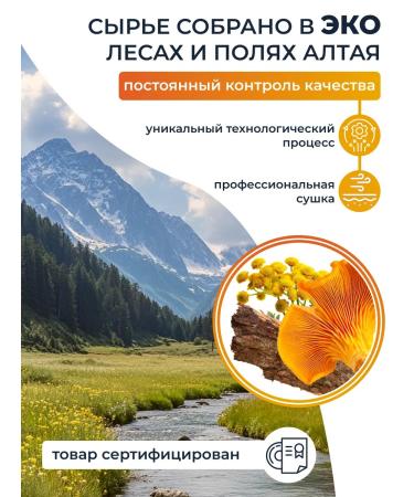 AltHerbs Chaga with Reishi and the root of the burdock in capsules complex with chanterelles - Buy Online on GoSupps.com