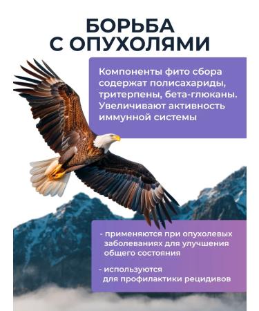 AltHerbs Chaga with Reishi and the root of the burdock in capsules complex with chanterelles - Buy Online on GoSupps.com
