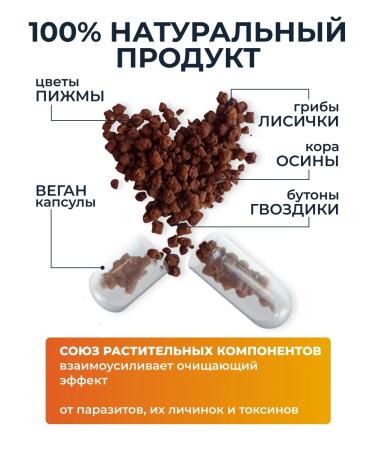 AltHerbs Chaga with Reishi and the root of the burdock in capsules complex with chanterelles - Buy Online on GoSupps.com