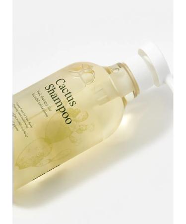 Yadah Shampoo d hair Cactus 700ml - Buy Online on GoSupps.com