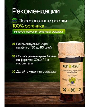 Live 200 Witgrass with blueberries in tablets 140 pcs - Buy Online on GoSupps.com