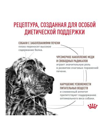 ROYAL CANIN Hepatic adult dog food 1.5 kg - Buy Online on GoSupps.com