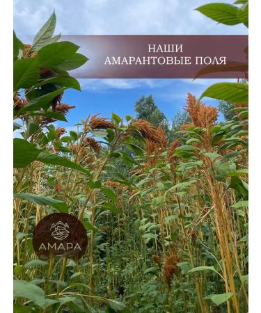 Amaranth tea for blood vessels 50 g - Buy Online on GoSupps.com