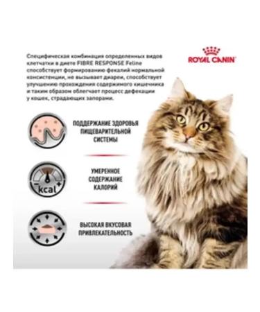 ROYAL CANIN GastroinTestinal Fiber Response for adult cats 350g - Buy Online on GoSupps.com