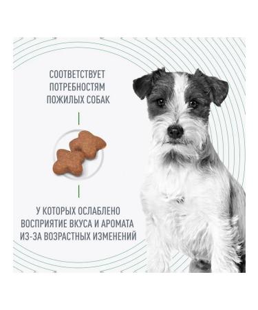 ROYAL CANIN Mini adult 8+ Feed for aging dogs of small species 4 kg - Buy Online on GoSupps.com