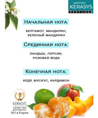 KeraSys Humpun mounted charm 600 ml air conditioning 600 ml - Buy Online on GoSupps.com