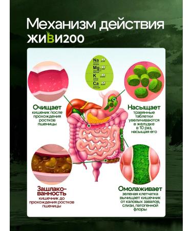 Live 200 Witgrass with lingonberries in tablets 140 pcs - Buy Online on GoSupps.com