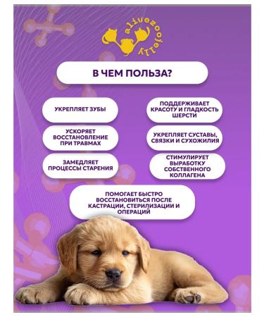 AliveZooJelly Collagen for dogs and cats Taste of chicken 2 Sasha - Buy Online on GoSupps.com