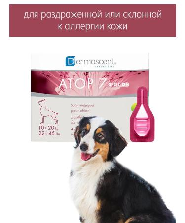 Dermoscent Drops from allergies for medium dogs 10-20 kg - Buy Online on GoSupps.com
