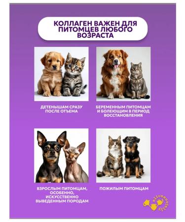 AliveZooJelly Collagen for dogs and cats Taste of chicken 5 Sasha - Buy Online on GoSupps.com