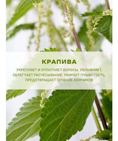 LeNel' made in Siberia Hair balm mask - Buy Online on GoSupps.com