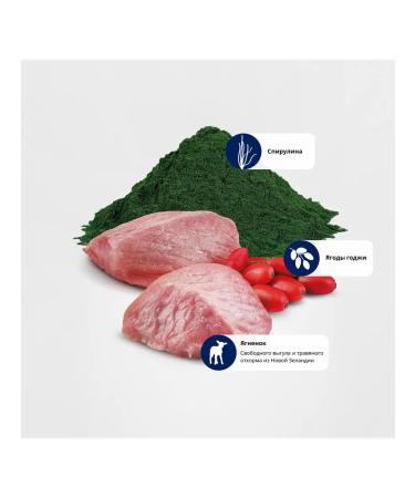 Farmina Dry food for adult cats 1.5 kg lumber of spirulina - Buy Online on GoSupps.com