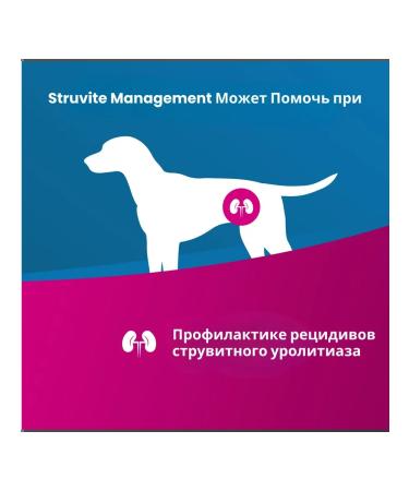 Farmina Vet Life DOG Management Struvit 2 kg - Buy Online on GoSupps.com