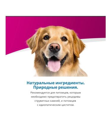 Farmina Vet Life DOG Management Struvit 2 kg - Buy Online on GoSupps.com