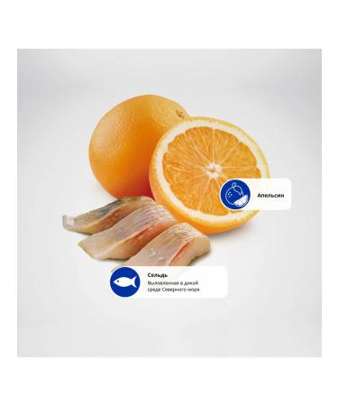 Farmina N & d Ozhen Kat herring and orange for adult cats 300 grams - Buy Online on GoSupps.com