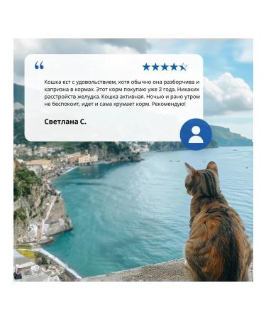 Farmina N & d Ozhen Kat herring and orange for adult cats 300 grams - Buy Online on GoSupps.com