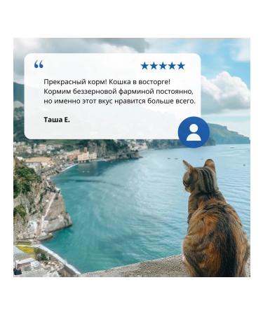 Farmina N & d Ozhen Kat herring and orange for adult cats 300 grams - Buy Online on GoSupps.com