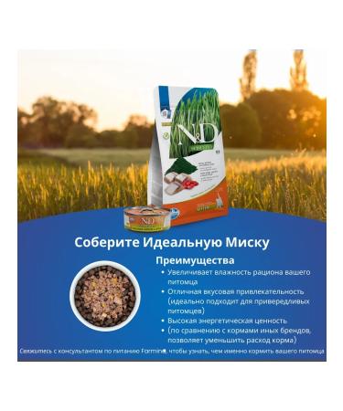 Farmina N & Dspurulin for kittens with herring 1.5 kg - Buy Online on GoSupps.com