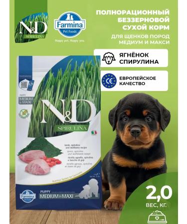 Farmina N & Dspurulina for puppies Medium and maxi 2 kg