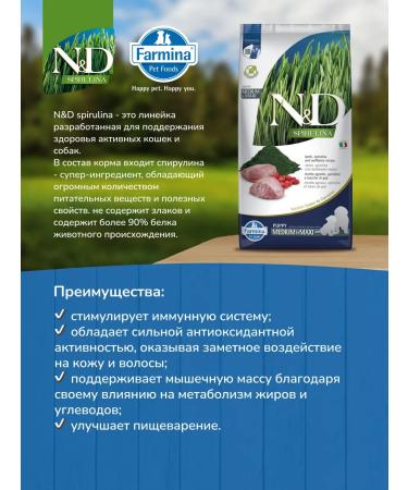 Farmina N & Dspurulina for puppies Medium and maxi 2 kg - Buy Online on GoSupps.com
