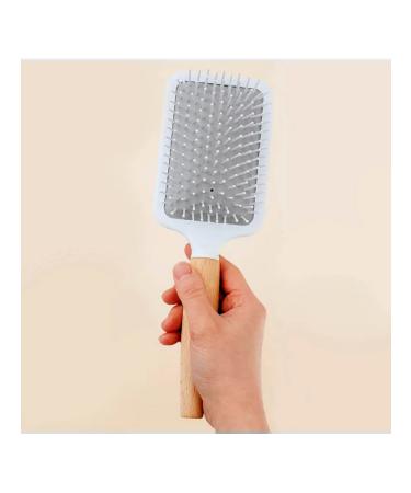 MASIL A combing hair is antistatic wood - Buy Online on GoSupps.com