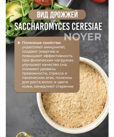 NOYER Yeast food inactive classic 100 g - Buy Online on GoSupps.com
