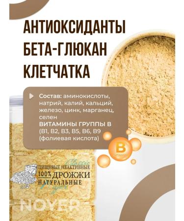 NOYER Yeast food inactive classic 100 g - Buy Online on GoSupps.com