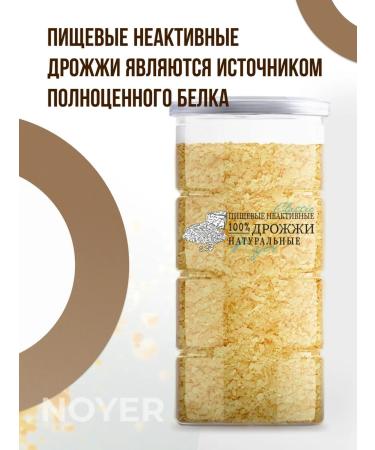 NOYER Yeast food inactive classic 100 g - Buy Online on GoSupps.com