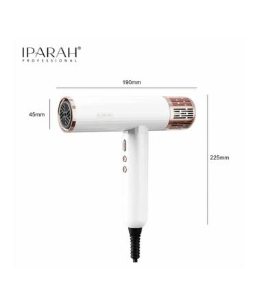 All for Family IP-385G Professional hair dryer for styling and drying hair - Buy Online on GoSupps.com
