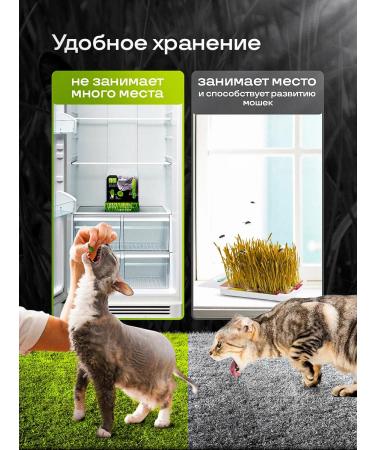 Live 200 Vitamins for sterilized cats 45pcs - Buy Online on GoSupps.com