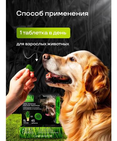 Live 200 Vitamins for dogs for immunity 45pcs - Buy Online on GoSupps.com