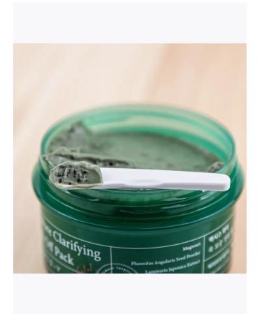 AXIS Y Cleaning clay face mask with wormwood Wash Off Pack - Buy Online on GoSupps.com
