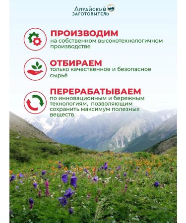 Altai procurement officer Klim - comfort for women - Buy Online on GoSupps.com