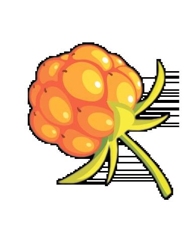 Mama Karelia Set of Karelia berries 3 types of jam - Buy Online on GoSupps.com