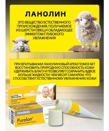 Medela Lanolin cream for nipples and lips Purelan 7 g of Medium - Buy Online on GoSupps.com