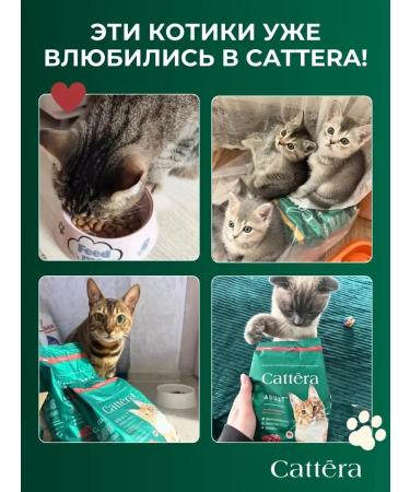Cattera Dry food for cats is a full with beef - Buy Online on GoSupps.com
