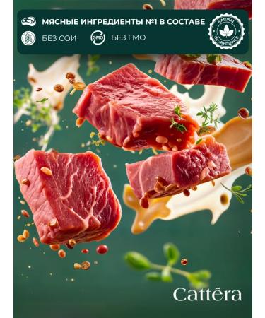Cattera Dry food for cats is a full with beef - Buy Online on GoSupps.com