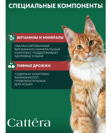 Cattera Dry food for cats is a full with beef - Buy Online on GoSupps.com
