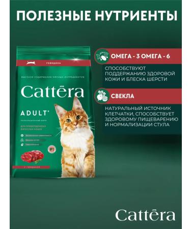 Cattera Dry food for cats is a full with beef - Buy Online on GoSupps.com