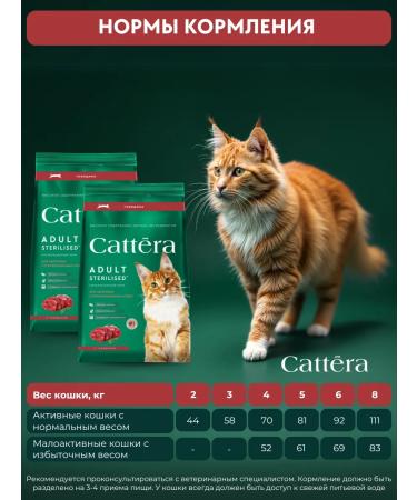 Cattera Dry food for sterilized cats with beef - Buy Online on GoSupps.com