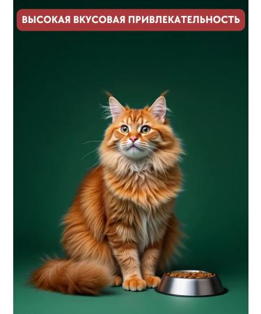 Cattera Dry food for sterilized cats with beef - Buy Online on GoSupps.com