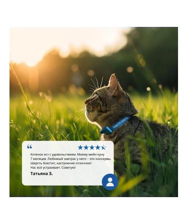 Farmina ND Prime 5 kg of a jester fillet of a lamb for adults - Buy Online on GoSupps.com