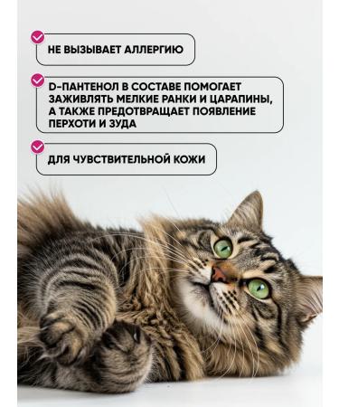 Harley Hypoallergenic cat shampoo with panthenol - Buy Online on GoSupps.com