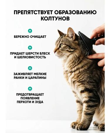 Harley Hypoallergenic cat shampoo with panthenol - Buy Online on GoSupps.com