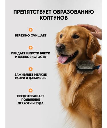 Harley Hypoallergenic dog shampoo with panthenol - Buy Online on GoSupps.com